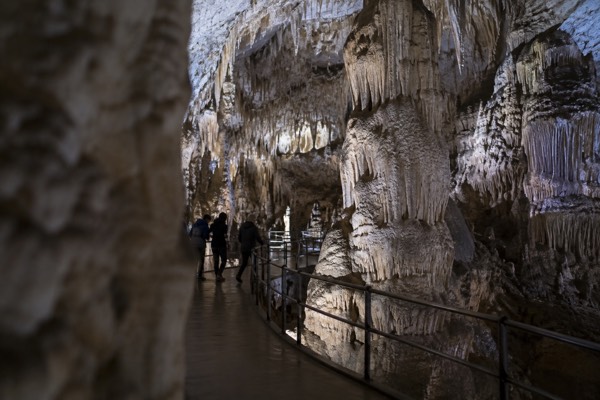 A lit limestone cavern with tall pale formations, a walkway threading between them and visitors dwarfed by the scale, Postojna Cave, Postojna