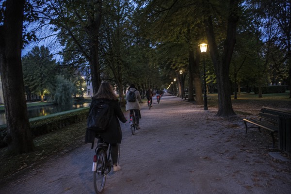 A group riding city bikes in single file along a broad gravel park avenue under mature chestnut trees, Tivoli Park, Ljubljana