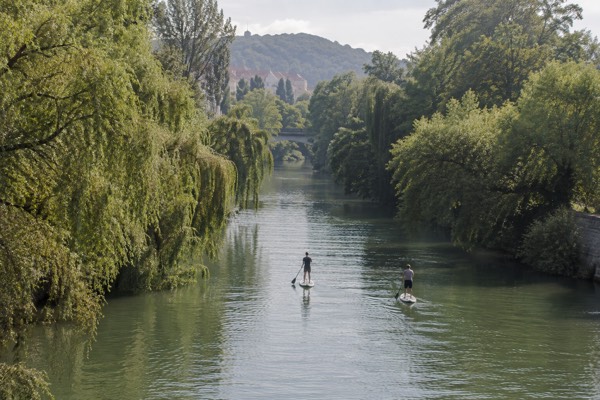 Two people on stand-up paddleboards on a calm green river, willows leaning over the water on both banks, Trnovo, Ljubljana