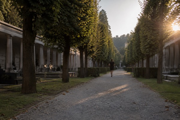 An avenue of clipped trees running between low colonnades in a quiet cemetery, gravel underfoot, Zale Cemetery, Ljubljana