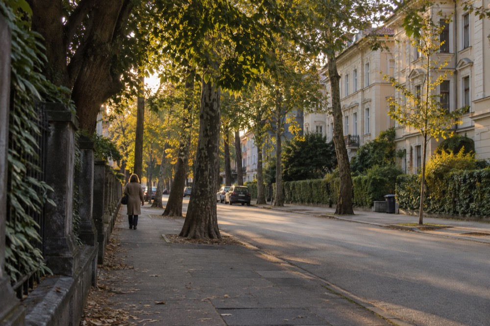 Tree-lined street of residential houses in a quiet Ljubljana neighbourhood near the city centre