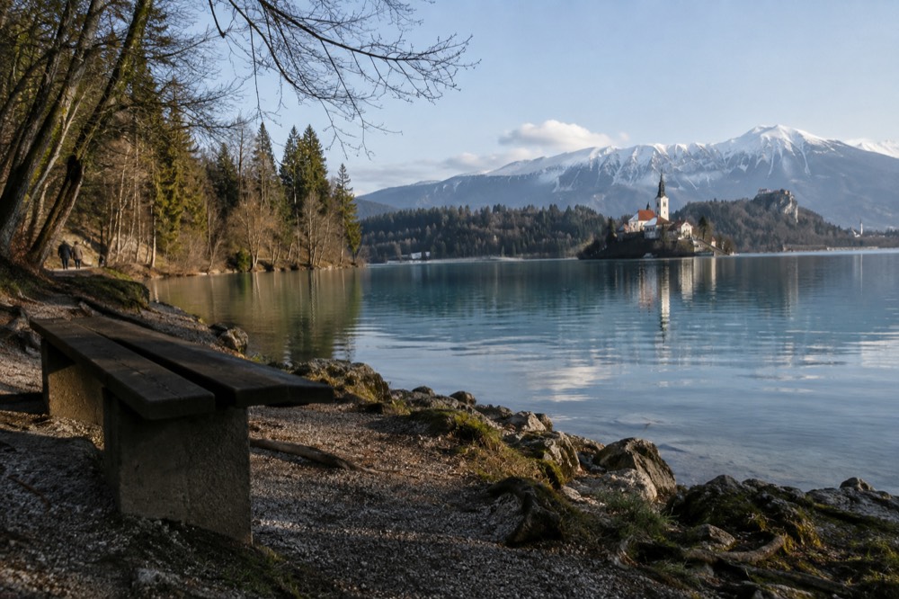 Clear water and wooded shoreline along the Lake Bled walking path