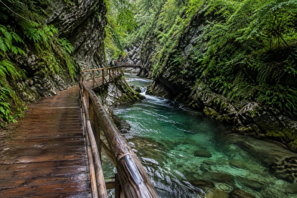 Wooden walkway beside the green water of Vintgar Gorge