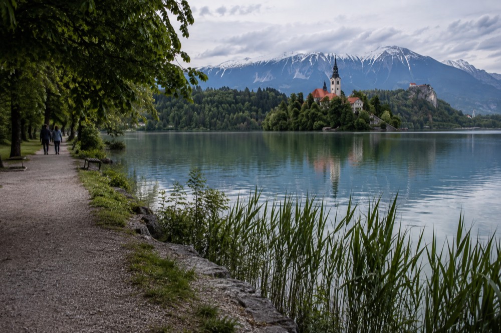Gravel lakeside path along Lake Bled with reeds and calm water