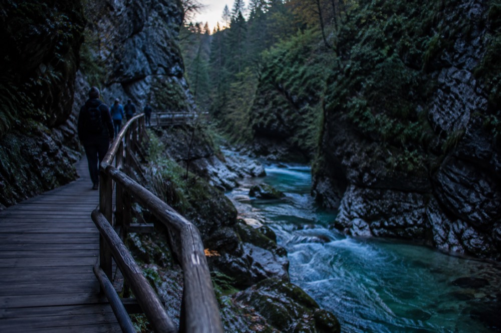 Wooden boardwalk along the turquoise river inside Vintgar Gorge