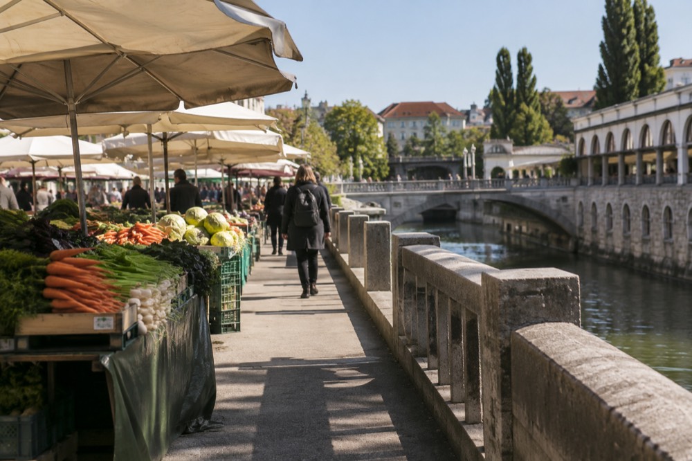 A stone bridge over a river with market arcades on the far bank