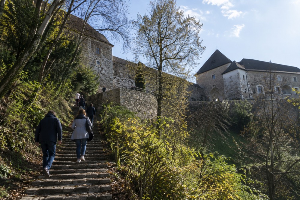 A steep wooded path with stone steps leading up a hill