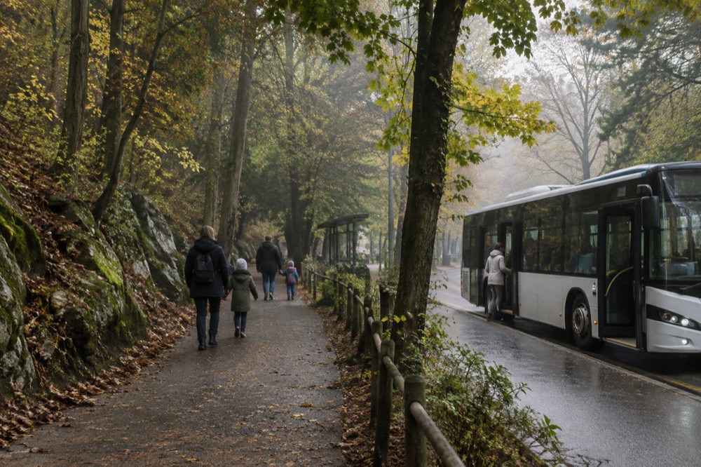 A city bus stopping at a leafy stop on the edge of a park