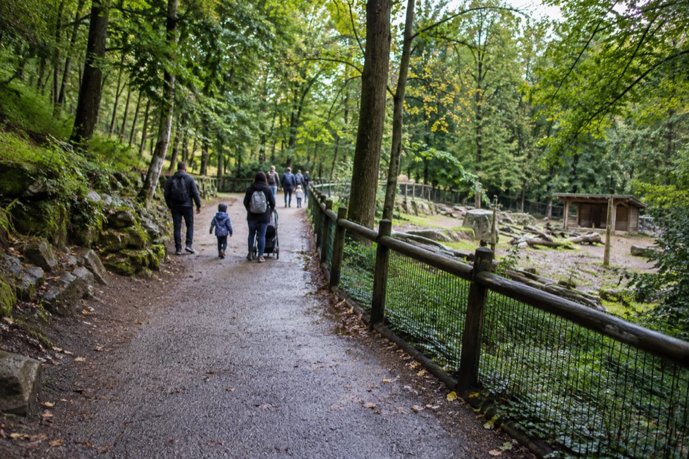 Families walking along a shaded zoo path in morning light