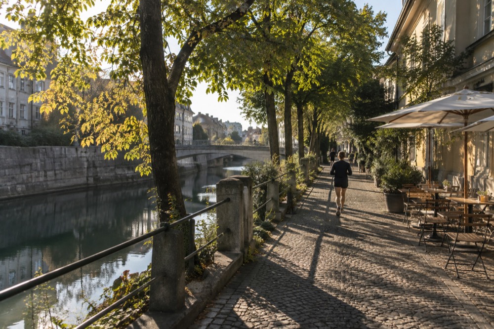 A tree-lined canal-side street with small bridges and cafe tables along the water