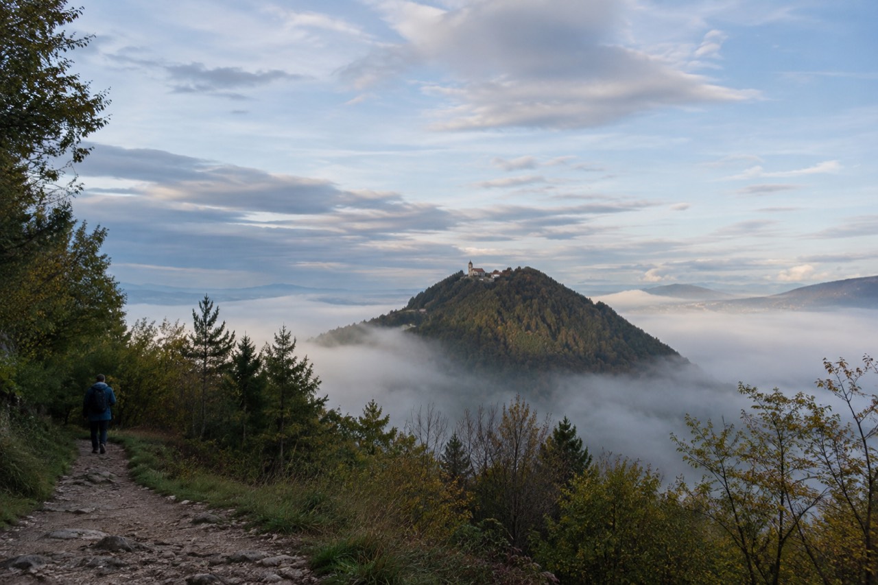 A forested hill rising above the northern edge of Ljubljana under a wide sky