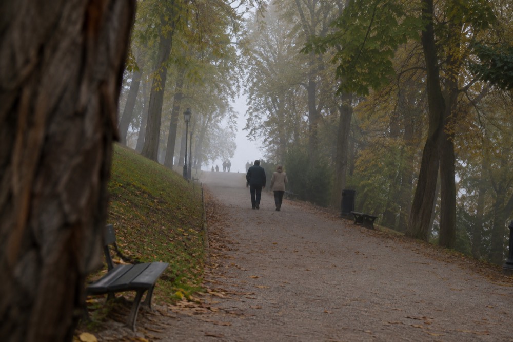 Wide gravel avenue lined with chestnut trees running uphill through a park