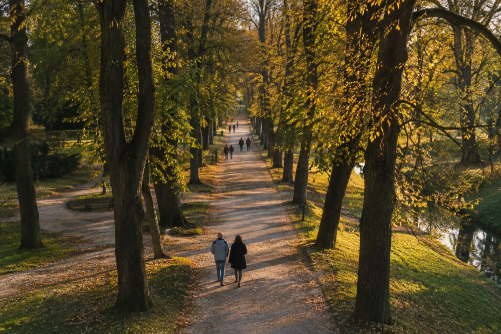 Long straight tree-lined avenue rising gently through a park with scattered walkers