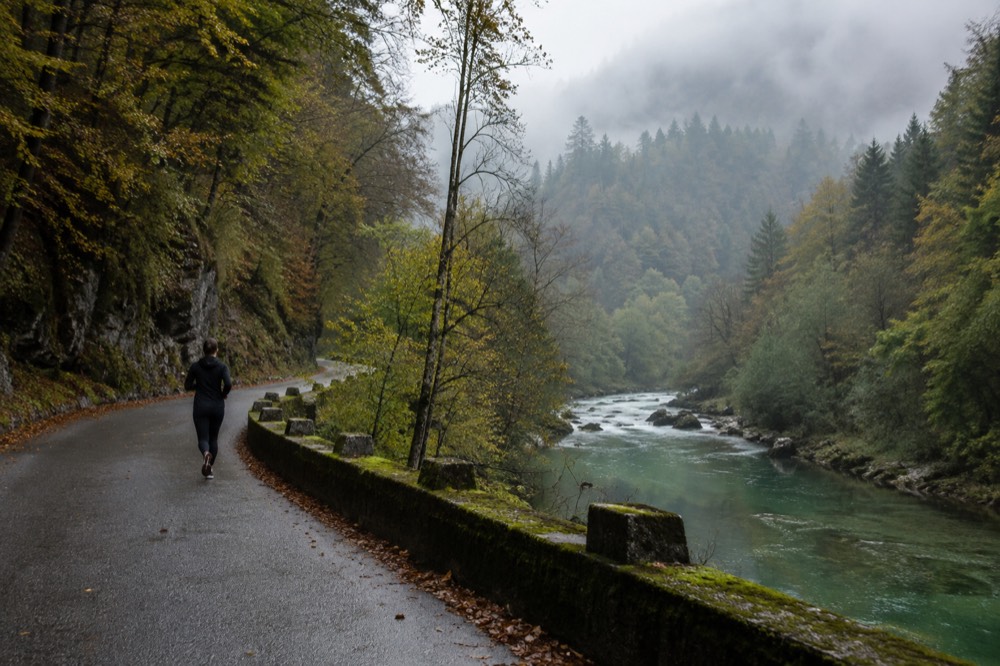 a winding road through forested hills above a green river