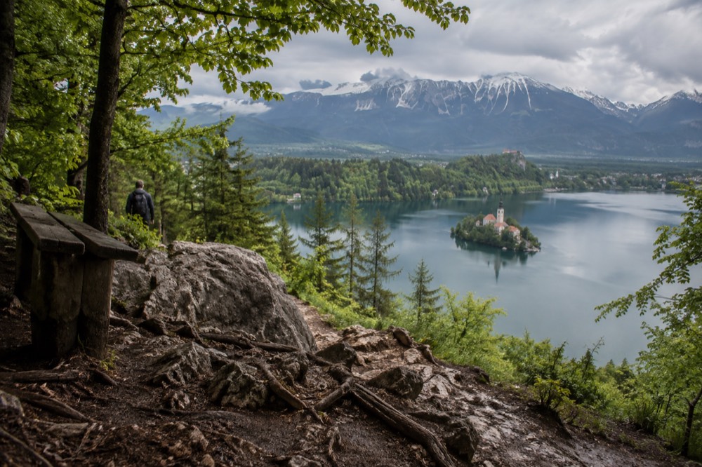 Ojstrica viewpoint path above Lake Bled with forest and peaks