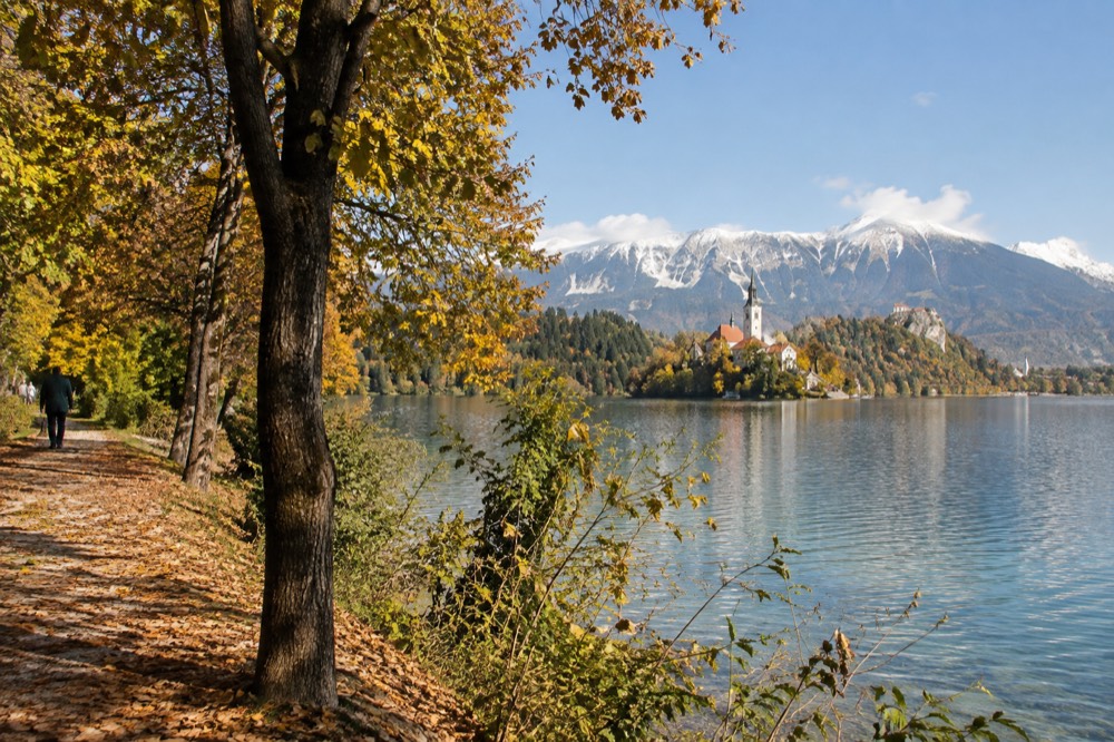 Autumn trees along the shore path of Lake Bled with calm water