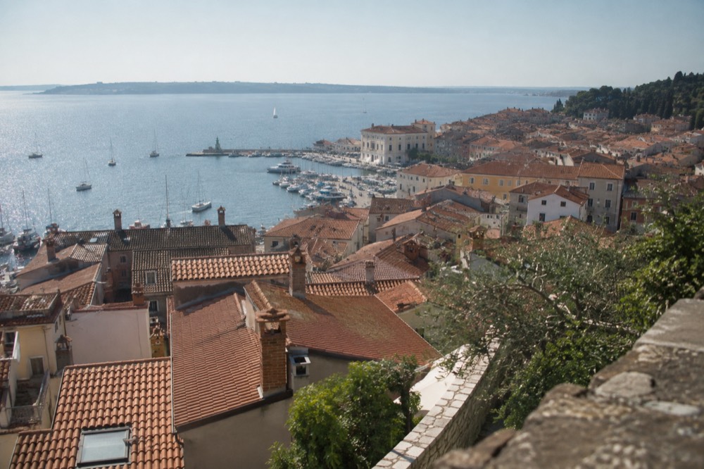 Terracotta rooftops of Piran rising above a blue Adriatic bay with boats in the harbour