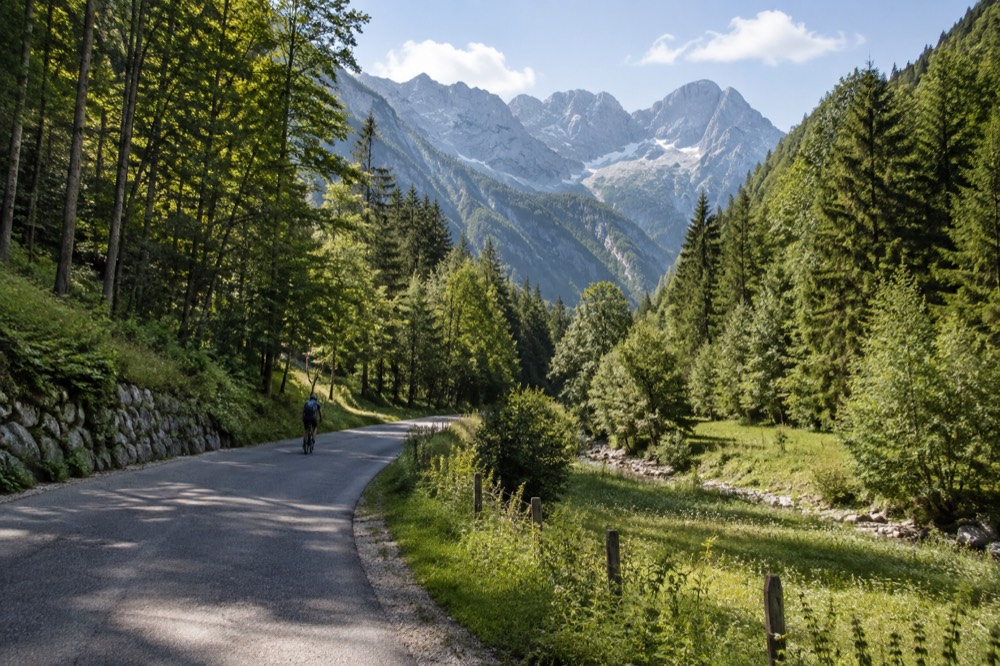 A winding road through forested foothills with mountains visible ahead in morning light