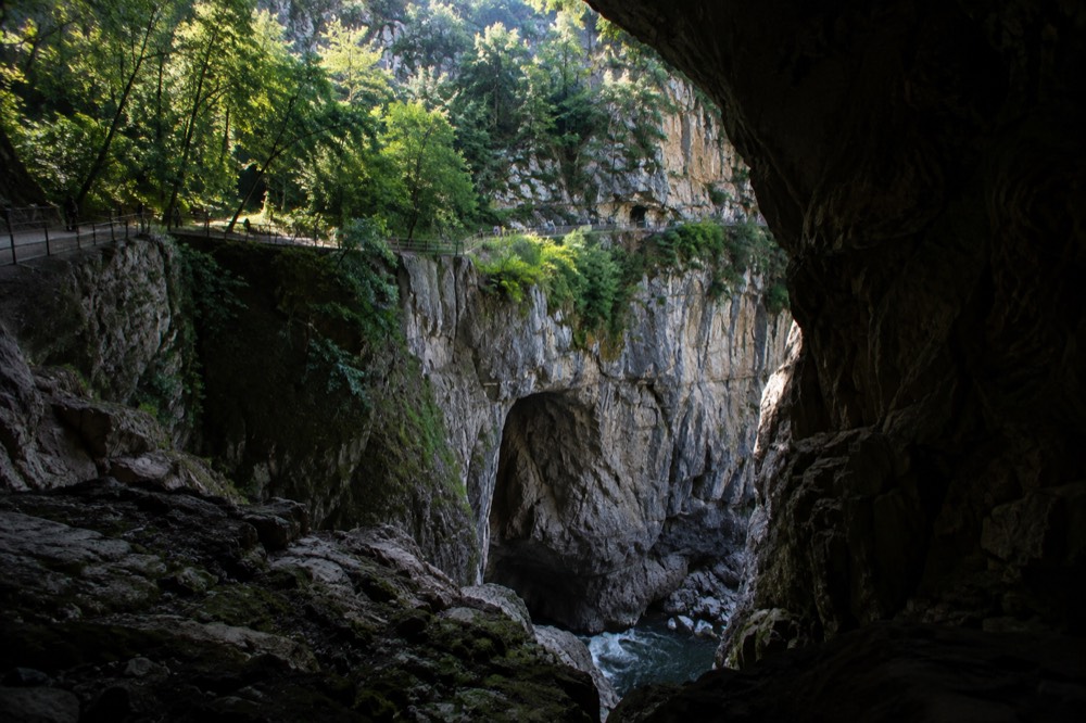 A visitor walkway crossing a sunlit limestone doline among green trees