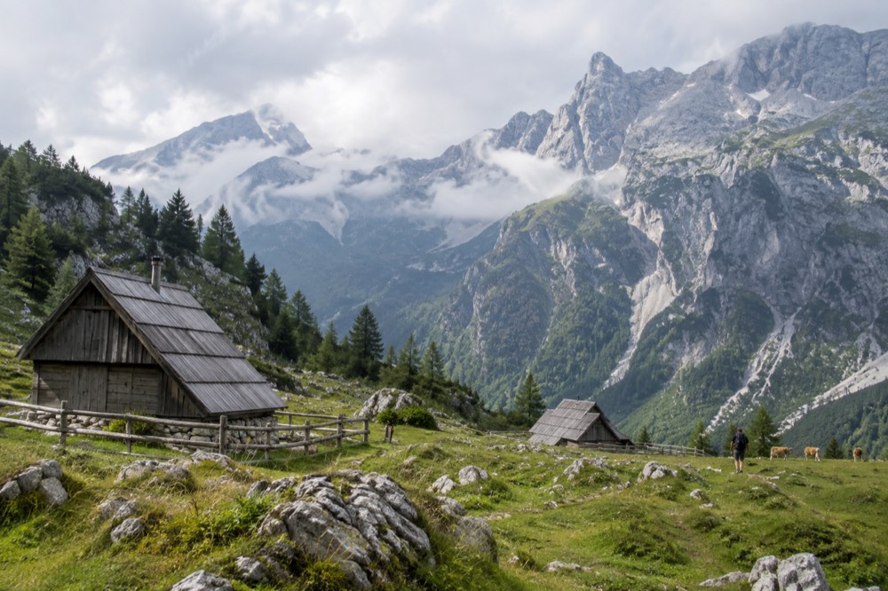 Alpine pasture with wooden herdsmen huts below rocky mountain peaks