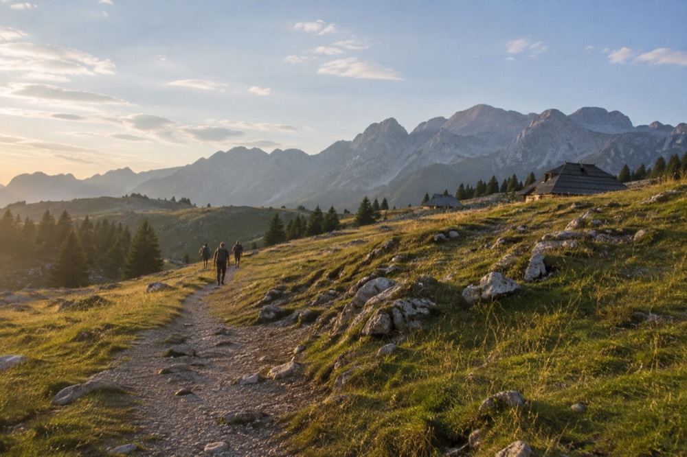 A walking path crossing an open alpine meadow towards rocky peaks of the Kamnik Alps