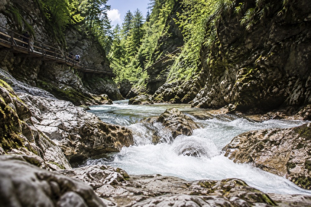 Rapids flowing over pale rocks between mossy cliff walls in a narrow gorge