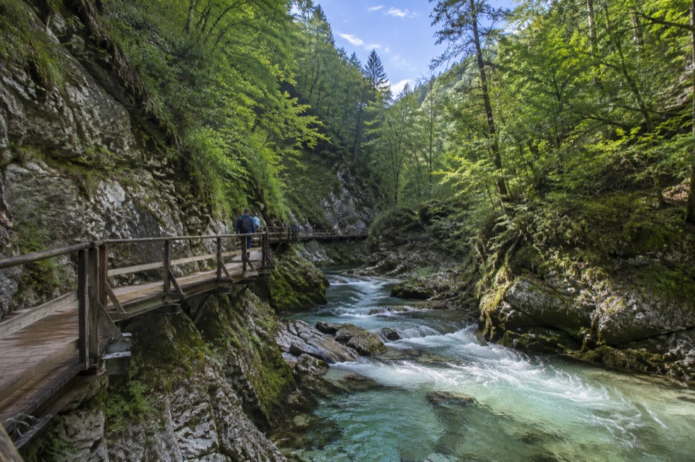 Sunlight falling on shallow turquoise water flowing over limestone in a forested gorge