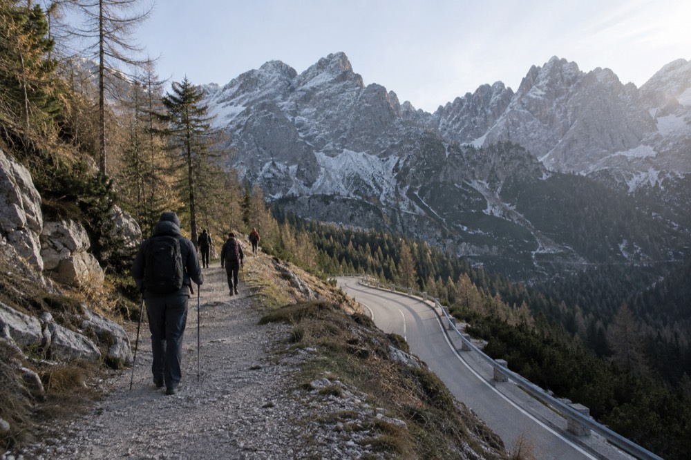 Hikers walking a gravel path beside a mountain road with rocky limestone peaks above the tree line