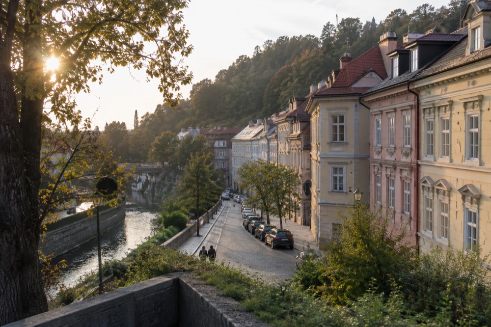 A quiet street of parked cars near leafy parkland on the edge of a city