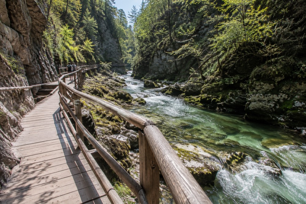 The wooden walkway through Vintgar Gorge above rushing green water