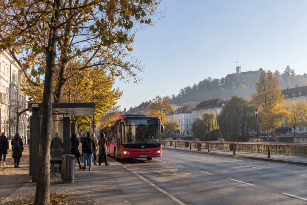 A city bus stop with a red city bus and passengers waiting beside a tree-lined street.