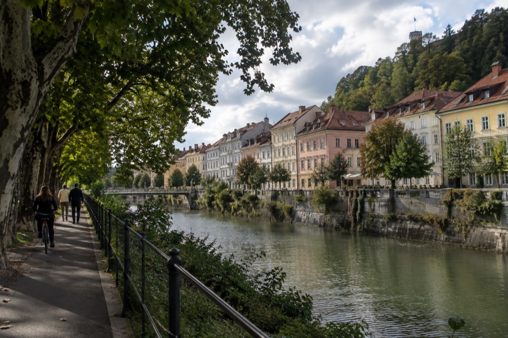 A tree-lined cycle path along the Ljubljanica river with the old town on the far bank