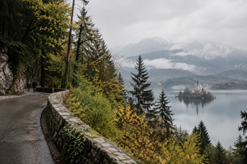 A winding road through forested alpine foothills with mountains rising beyond